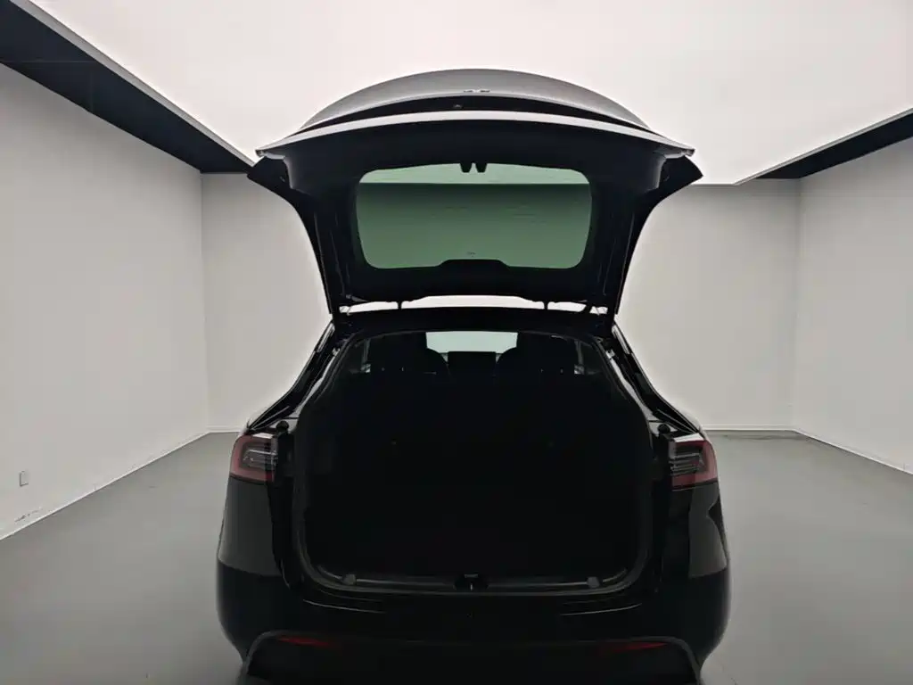 Tesla Model Y — миниатюра 19