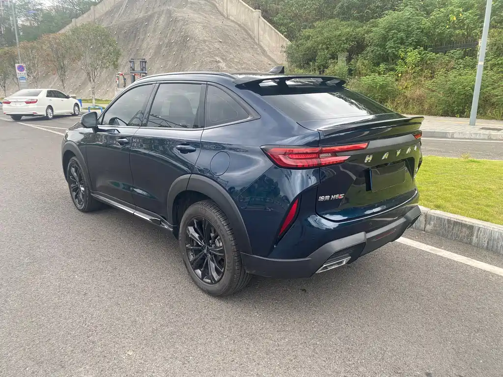 Haval H6S — миниатюра 8