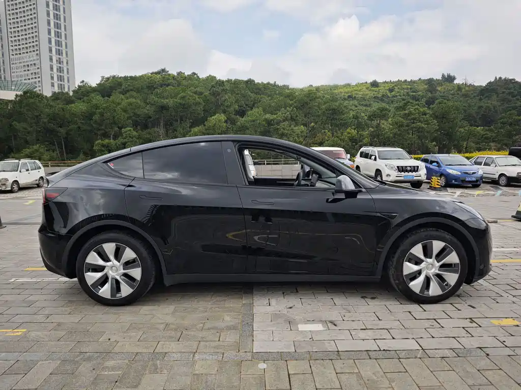 Tesla Model Y — миниатюра 6