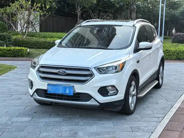 FORD WINGED TIGER 2017