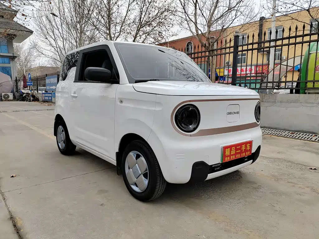 GEELY GALAXY PANDA