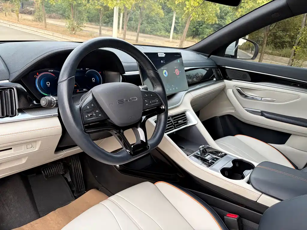 BYD PLUS New Energy — миниатюра 6