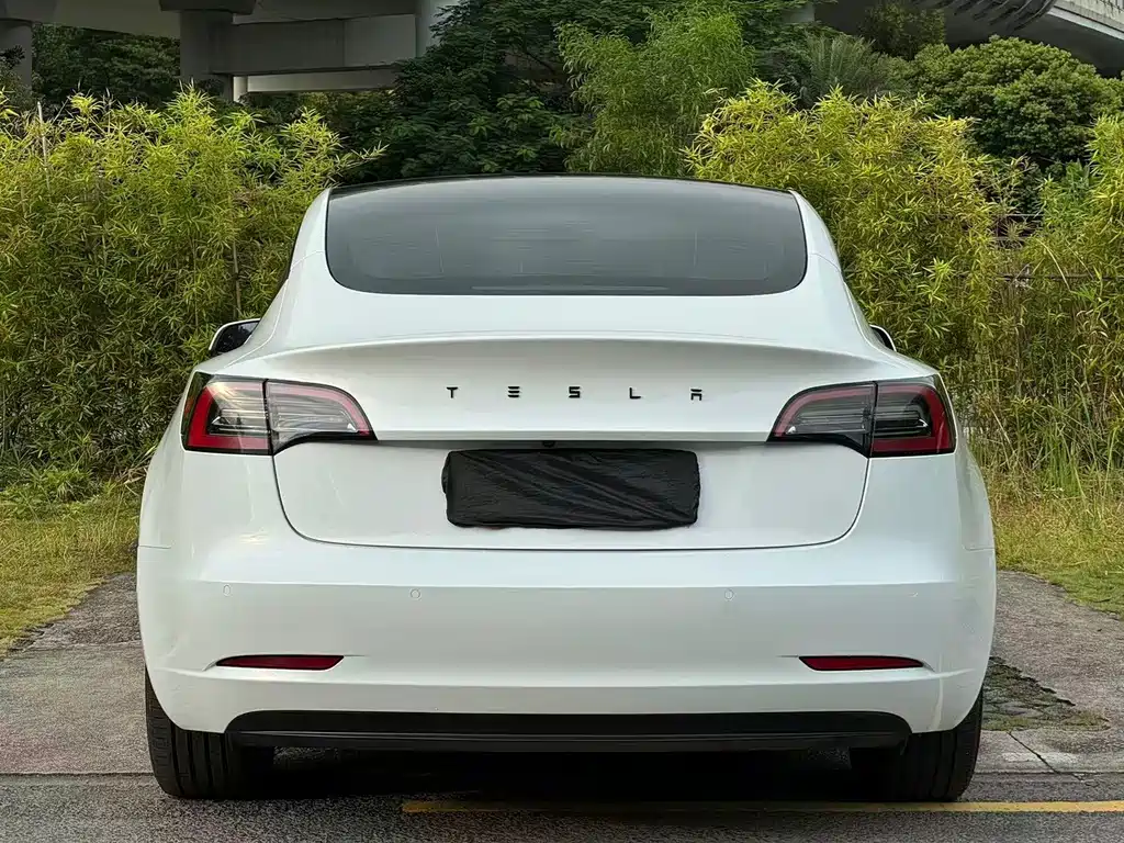 Tesla Model 3 — миниатюра 12