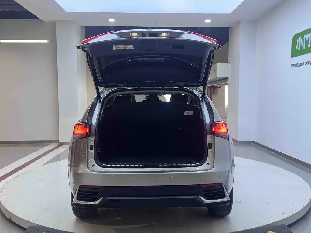 Lexus NX — миниатюра 21
