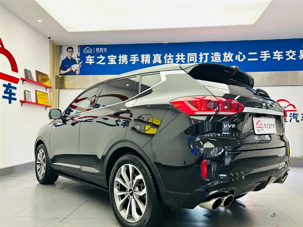 WEI PAI WEI BRAND VV6