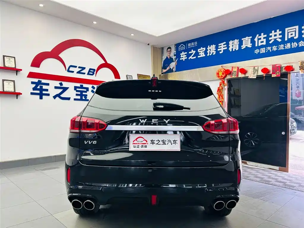 WEI PAI WEI BRAND VV6