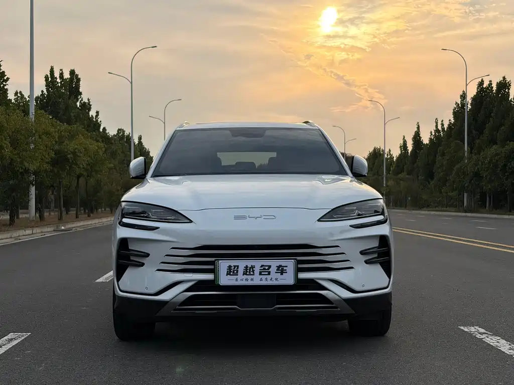 BYD PLUS New Energy — миниатюра 2