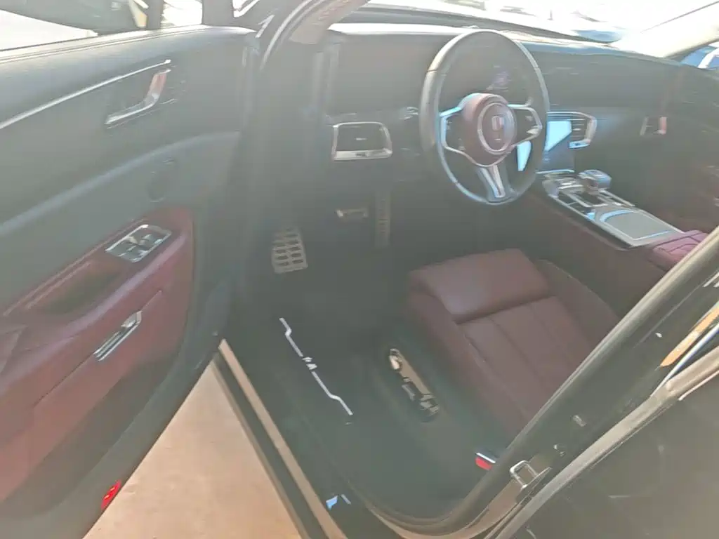 Hongqi Hongqi E-HS9 — миниатюра 16