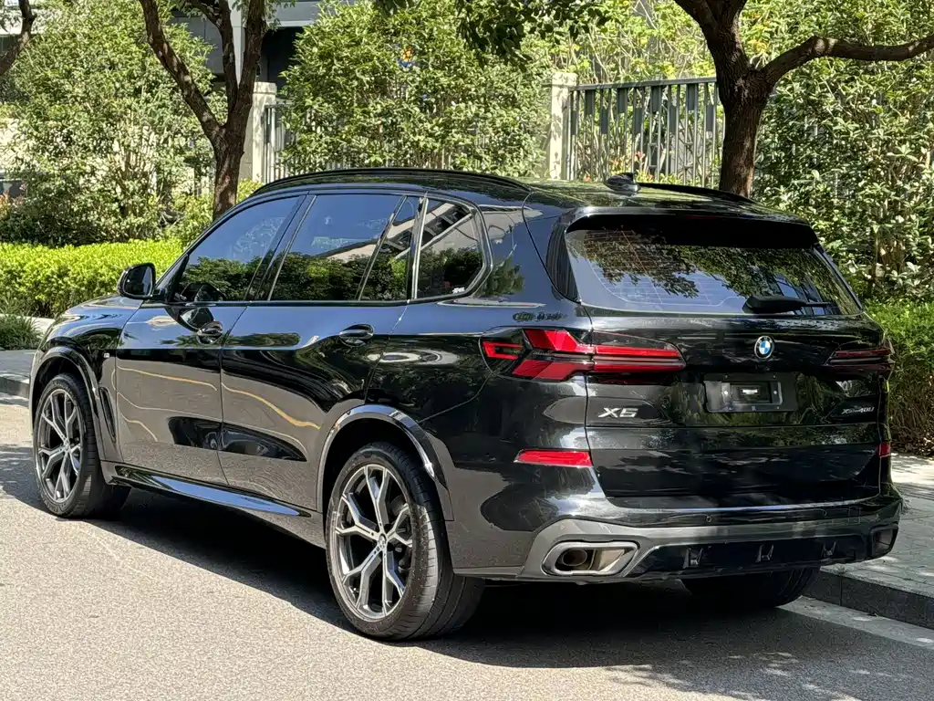 BMW X5 — миниатюра 5