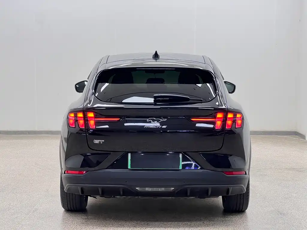 Ford Mustang Mach-E — миниатюра 4