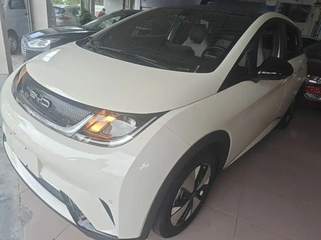 BYD Dolphin — миниатюра 2