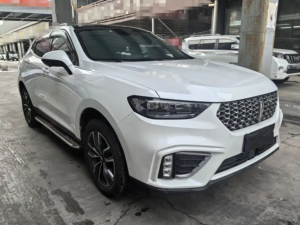 WEI PAI WEI BRAND VV5