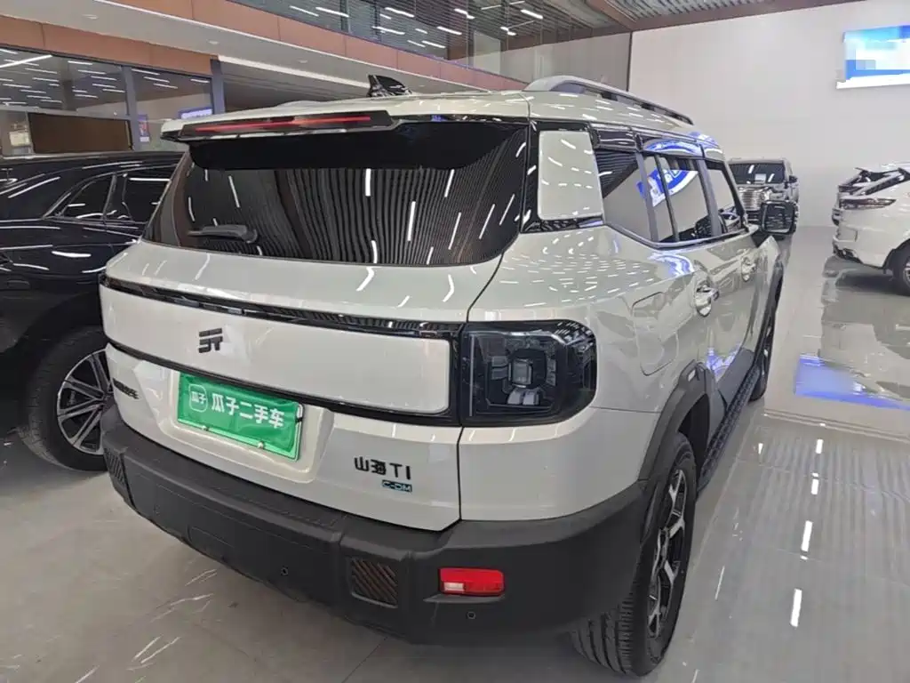 Shanhai Shanhai T1 — миниатюра 7