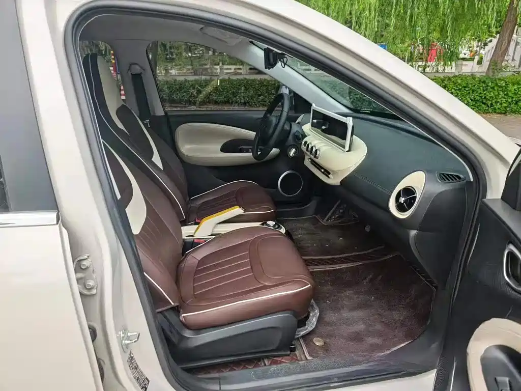 Wuling Binguo 2024 333km Enjoy