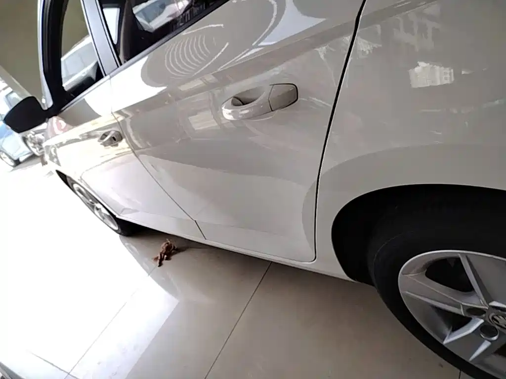Skoda Fabia — миниатюра 22