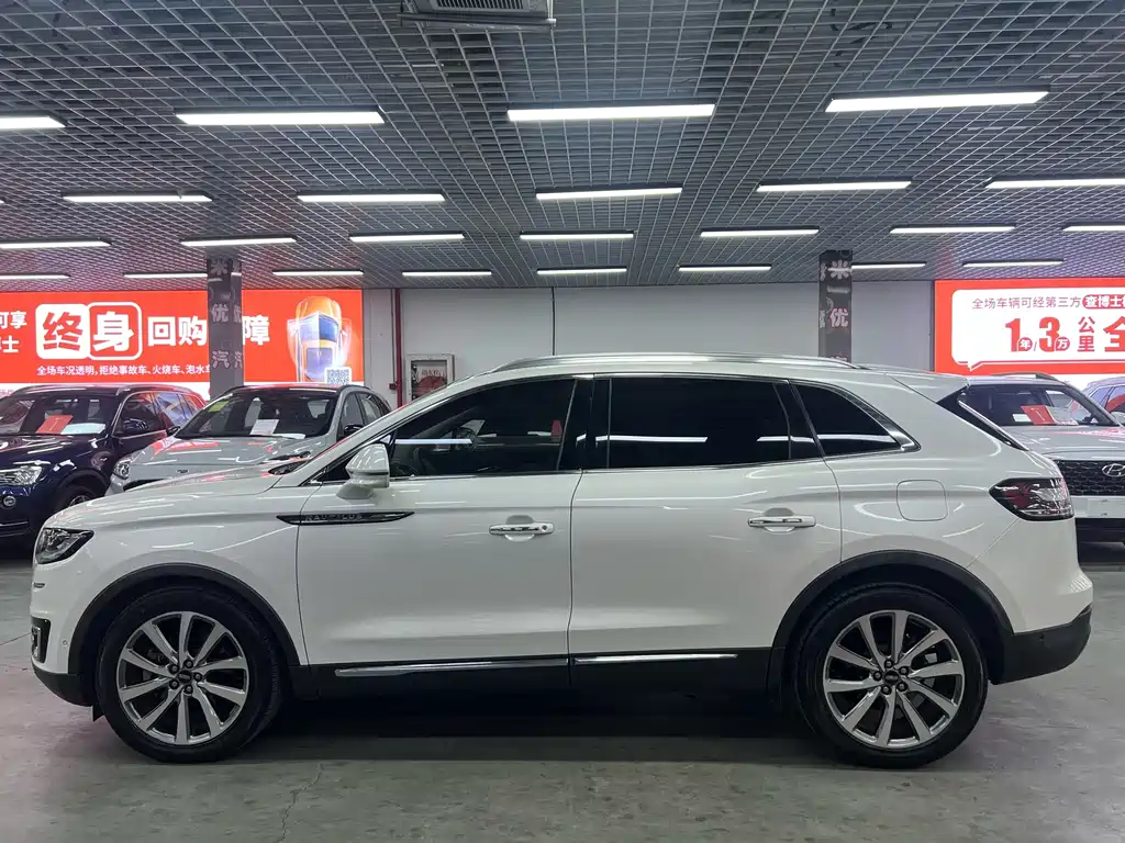 LINCOLN NAVIGATOR (IMPORT)