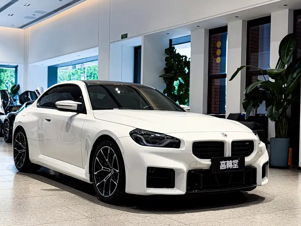 BMW M2 — миниатюра 4