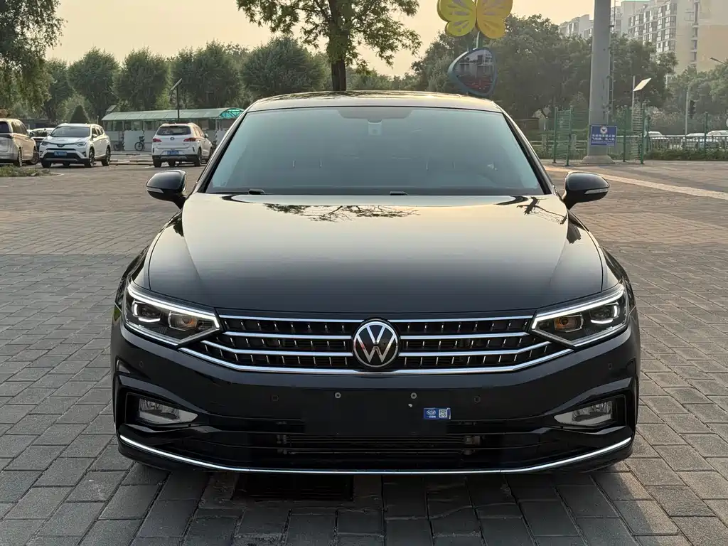 Volkswagen Magotan — миниатюра 2