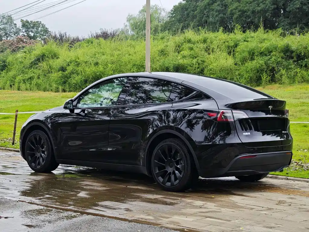 Tesla Model Y — миниатюра 3