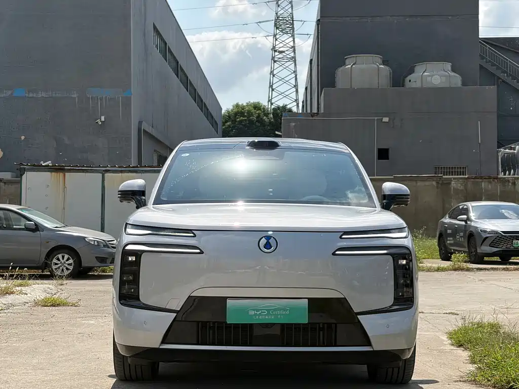 Denza Denza N8L — миниатюра 2