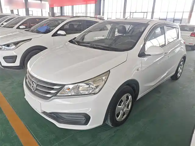 BAOJUN 310