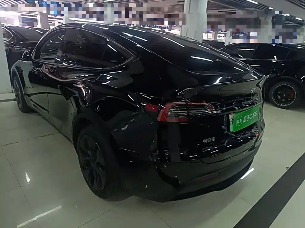 Tesla Model Y — миниатюра 5