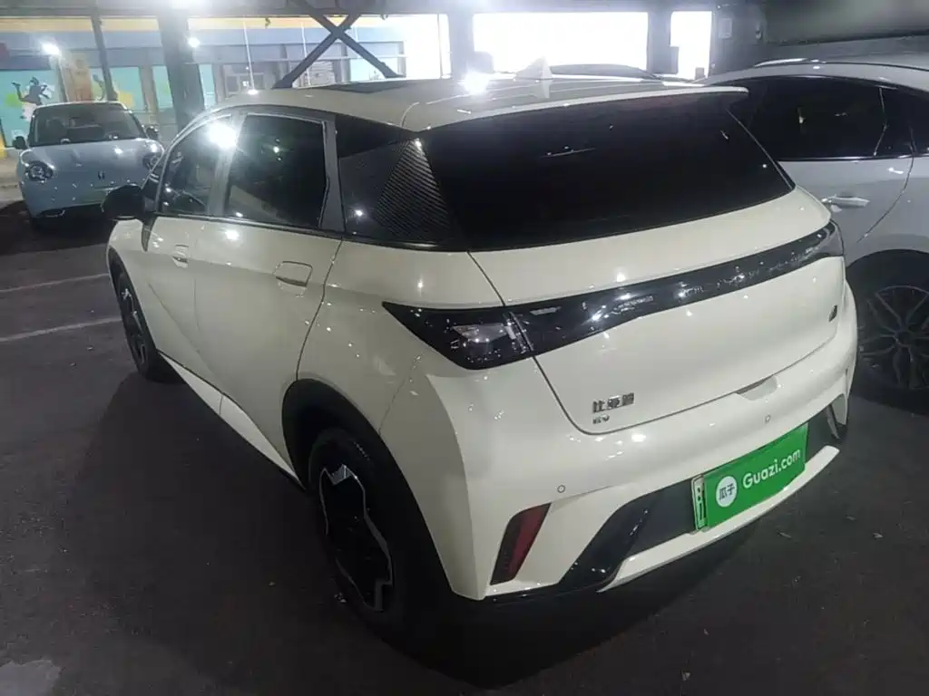 BYD Dolphin — миниатюра 5
