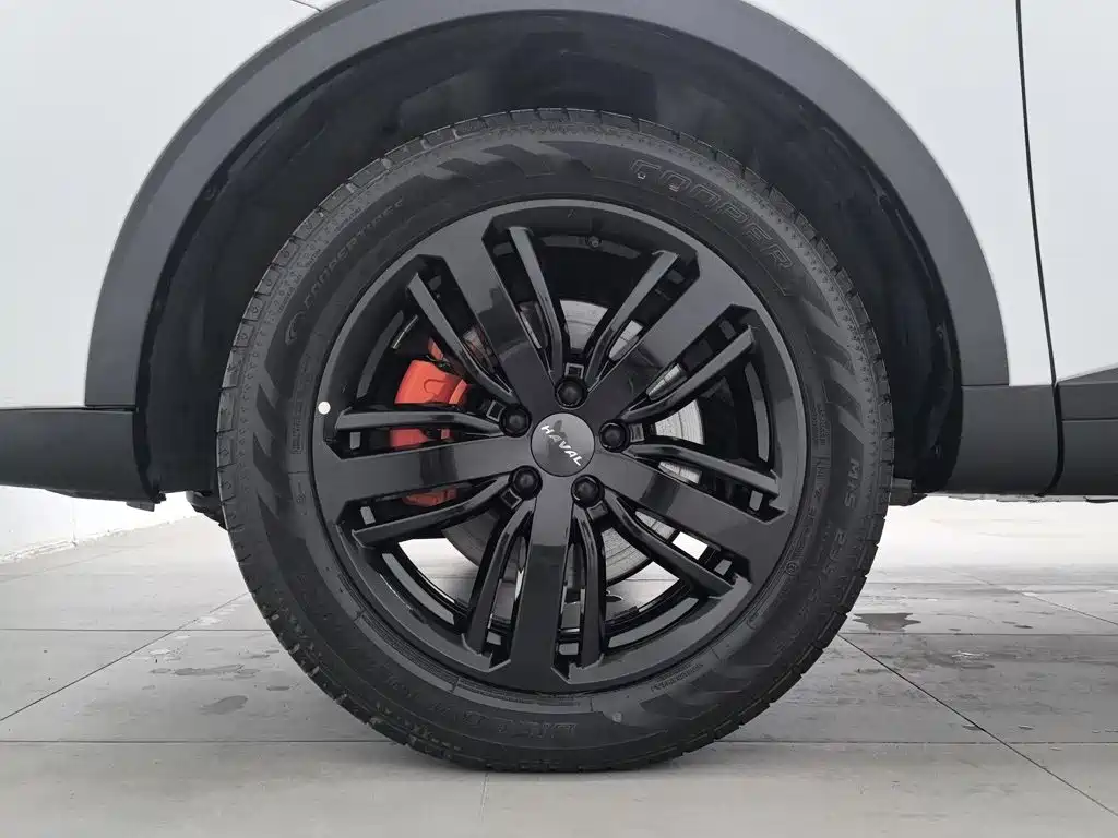 Haval H6 — миниатюра 17