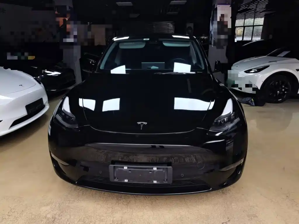 Tesla Model Y — миниатюра 3