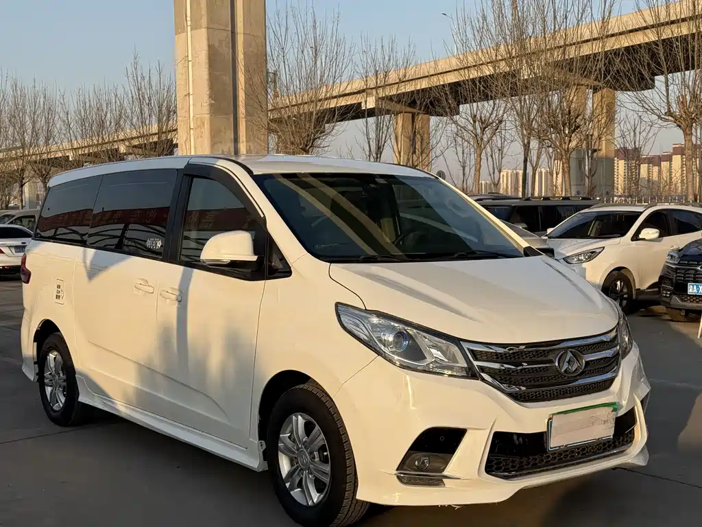 SAIC MAXUS CHASE G10