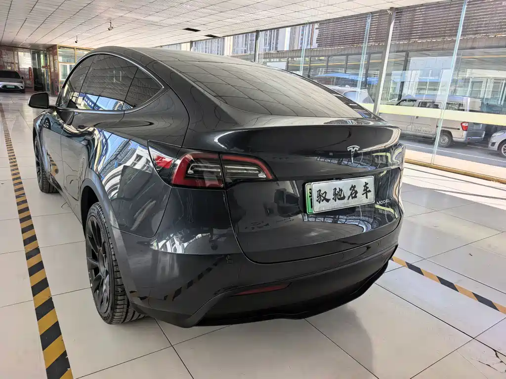 Tesla Model Y — миниатюра 13