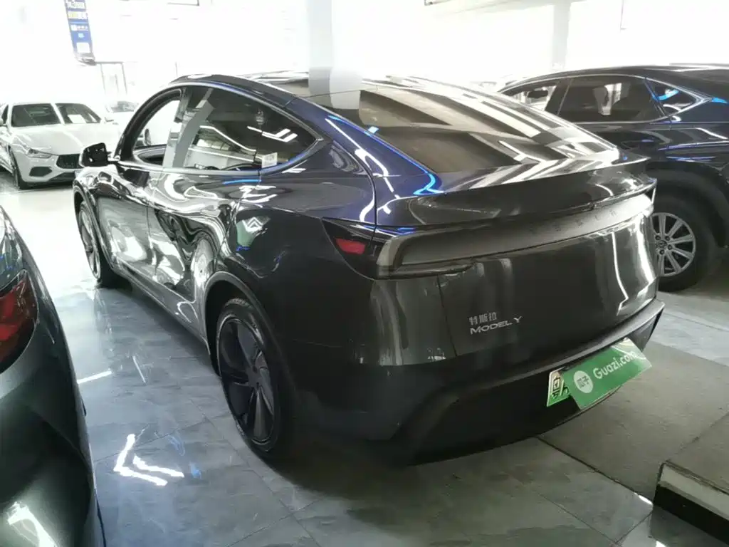 Tesla Model Y — миниатюра 5