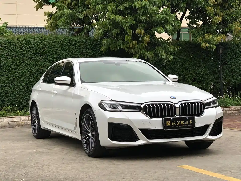BMW 5 Series — миниатюра 3