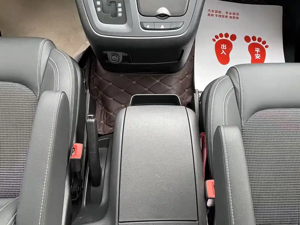 SAIC MAXUS CHASE G10