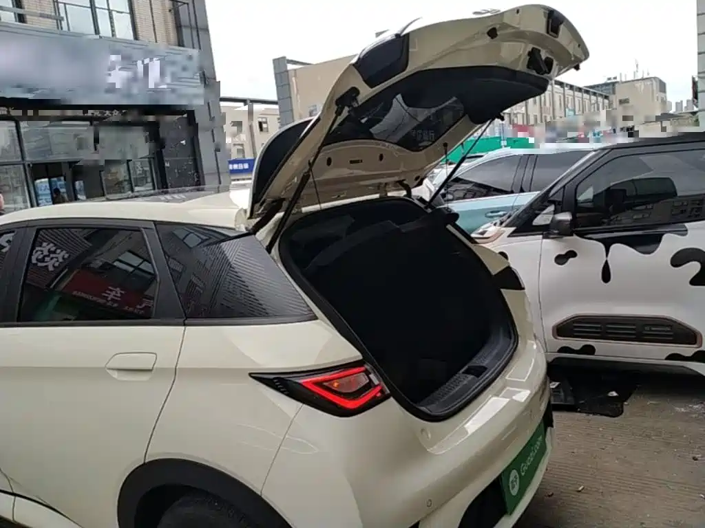 BYD Dolphin — миниатюра 19