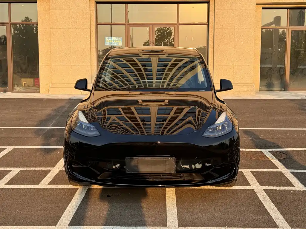 Tesla Model Y — миниатюра 2