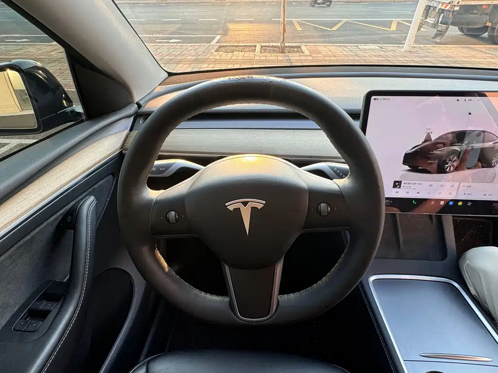 Tesla Model Y — миниатюра 9