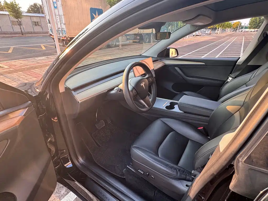 Tesla Model Y — миниатюра 6