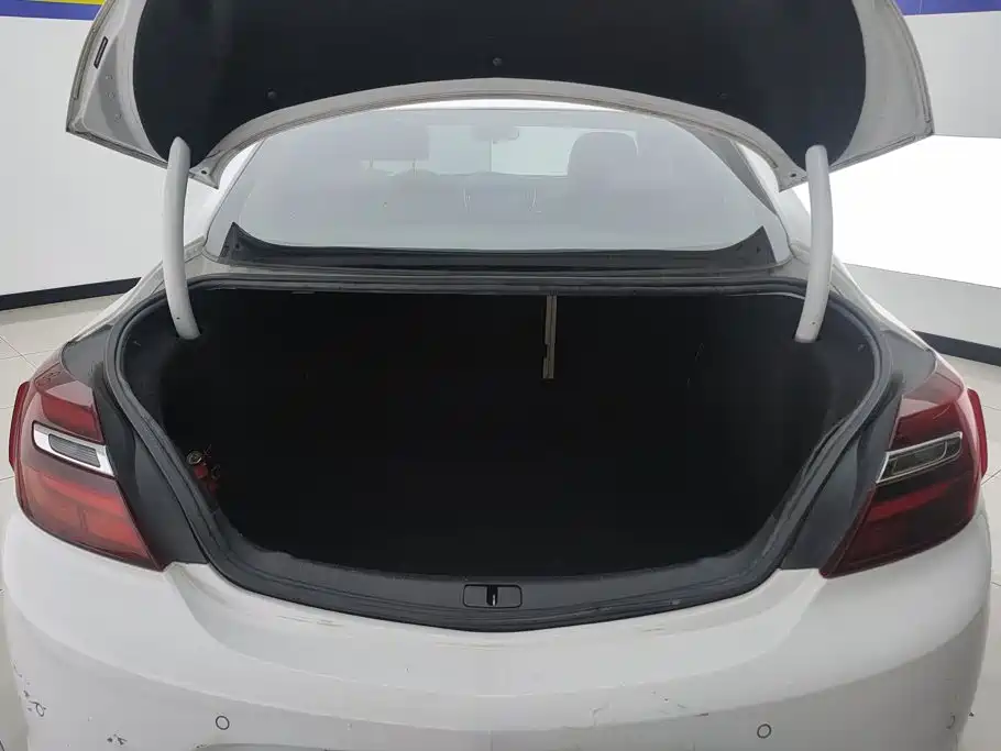 Buick Regal — миниатюра 4