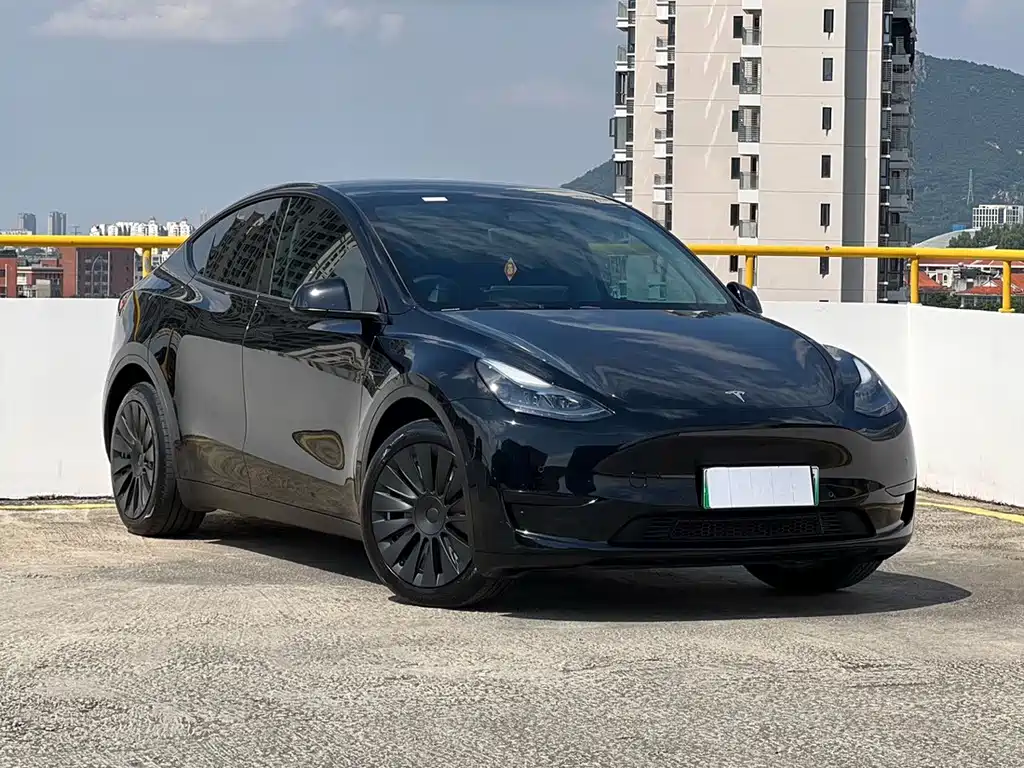 Tesla Model Y — миниатюра 3