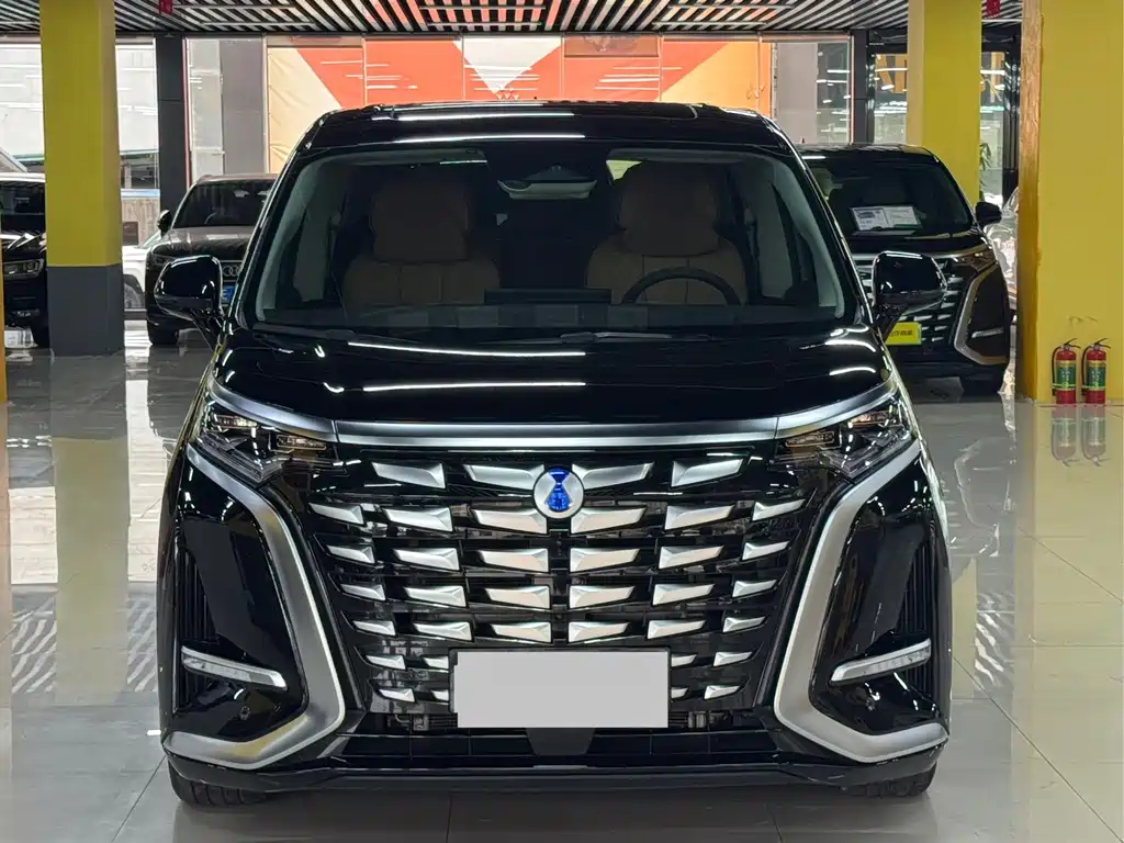 Denza Denza D9 — миниатюра 2