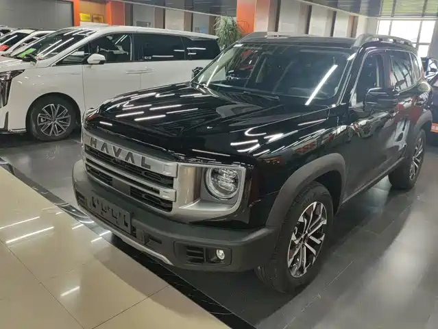 2024 Haval Big Dog