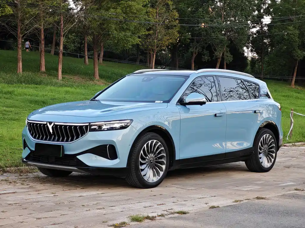 Voyah FREE 2021 2WD Standard EV City Edition