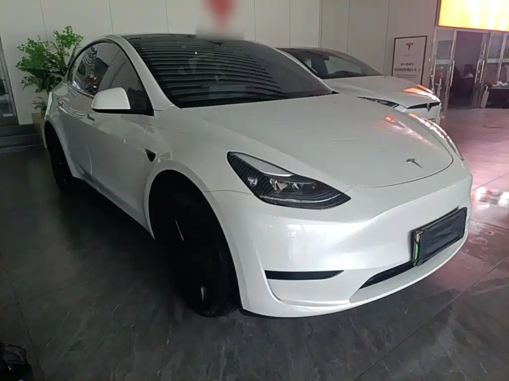 Tesla Model Y — миниатюра 4