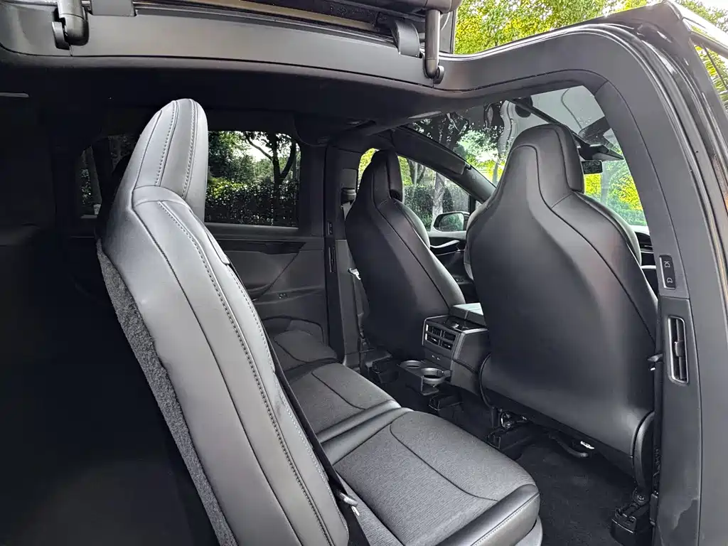 Tesla Model X — миниатюра 10