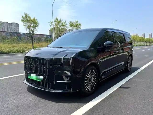2024 Zeekr 009