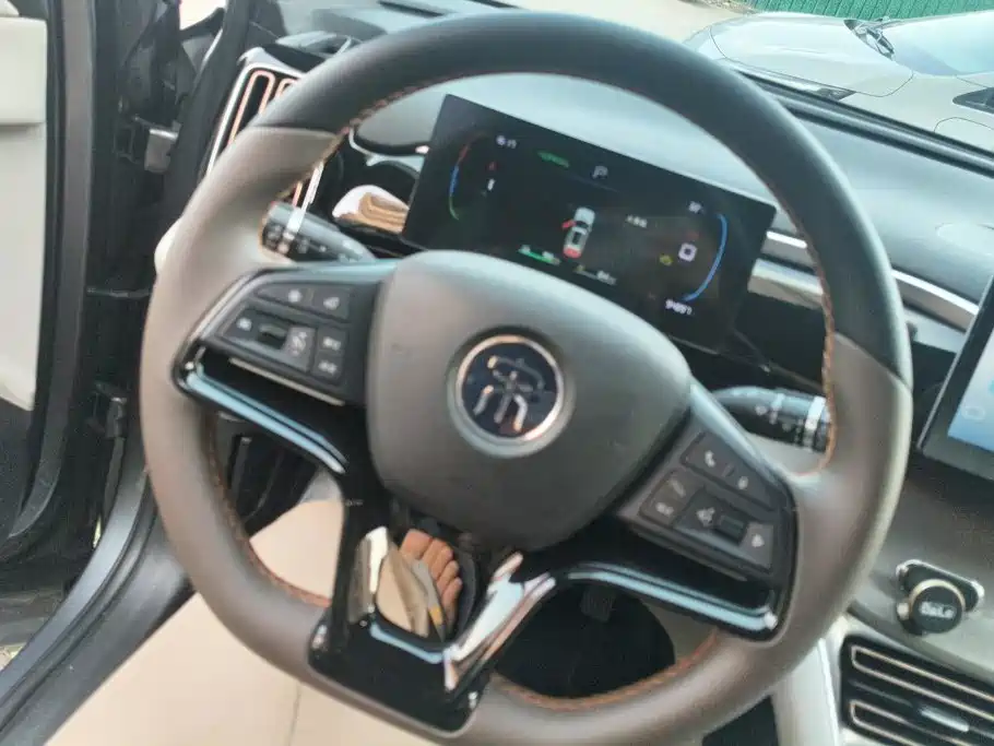 BYD Pro New Energy — миниатюра 15