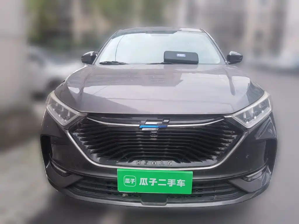 Oshan Oushang X7 — миниатюра 2