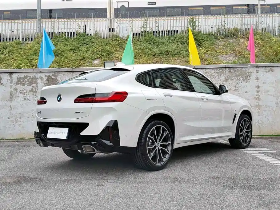BMW X4 — миниатюра 4