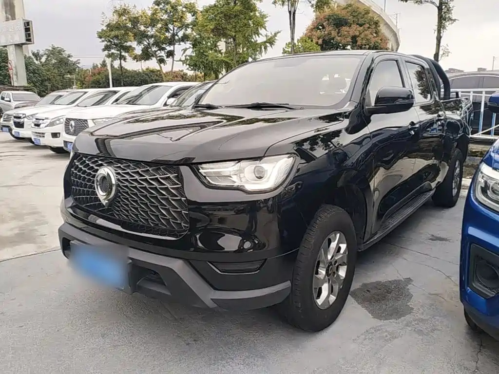 Great Wall Pao — миниатюра 2